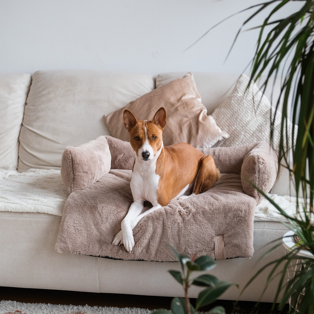 District 70 Hundesofa NUZZLE