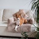 District 70 Hundesofa NUZZLE