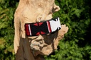 TKC Maasai Shield Lurcher
