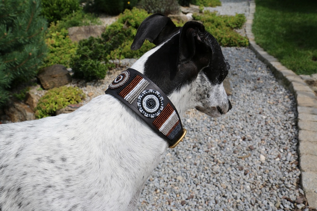 TKC Oryx Lurcher