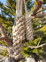 Apportel Natural Dog Toy