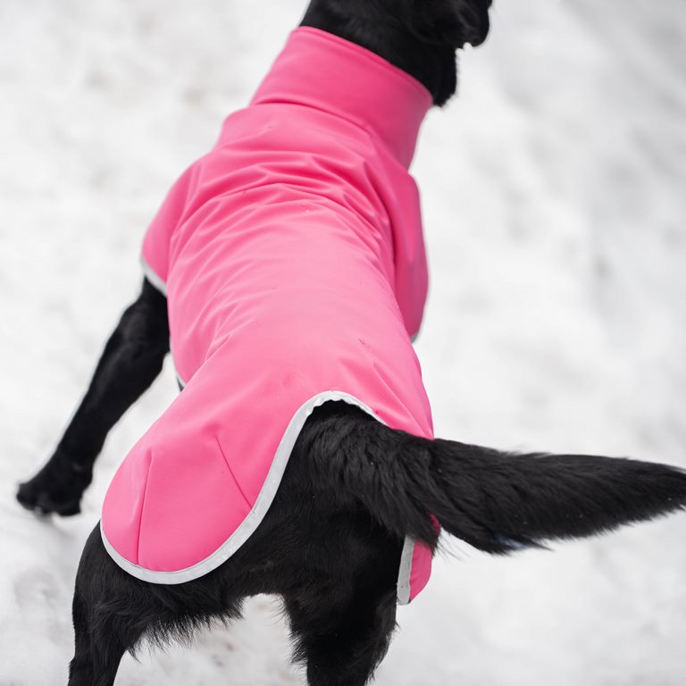 Sportti Pomppa