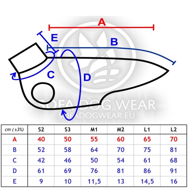 Hachico CITYPUNK Colours