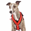 Sportgeschirr Y Double