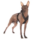 Sportgeschirr Y Reflex