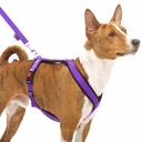 Sportgeschirr Y Small