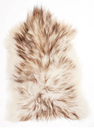 Sheepskin Icelandic Mufflon