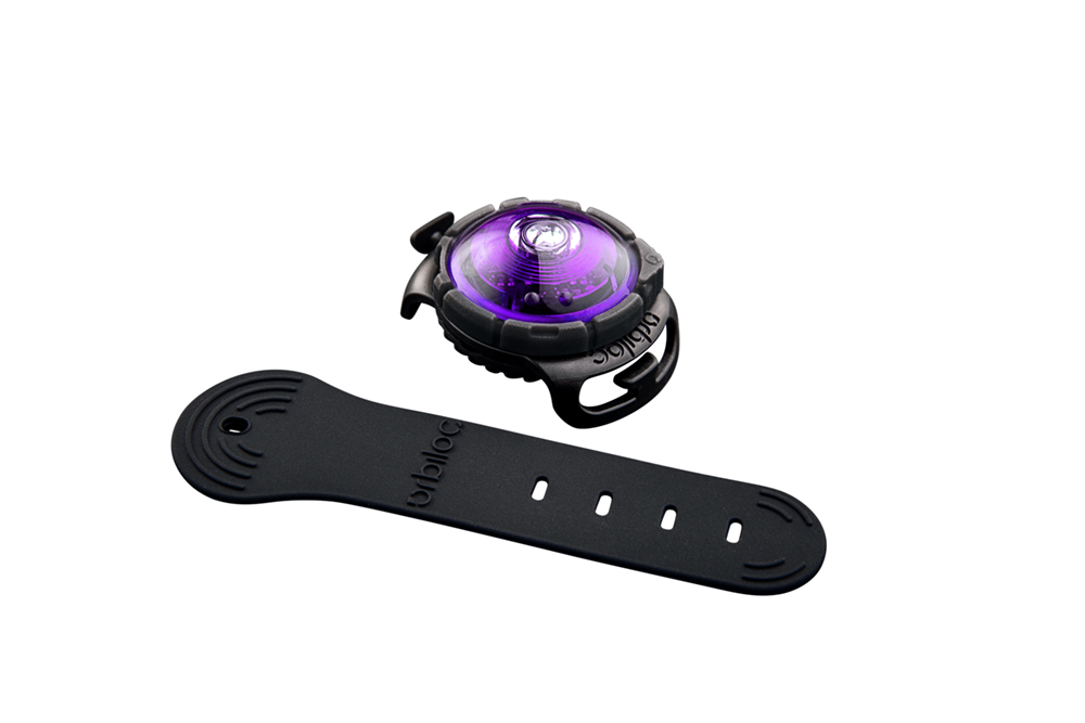 Orbiloc_Dog_Dual_Adjustable-Strap_Purple_exposed_LR.jpg