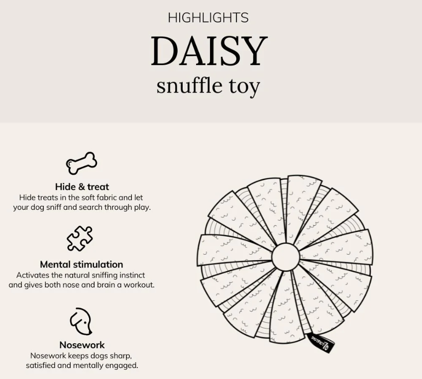 Daisy_Snuffel_info.png