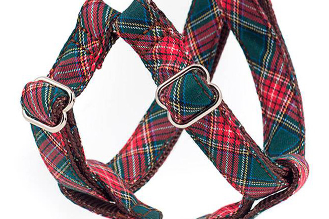 3-Punkt-Geschirr BERET