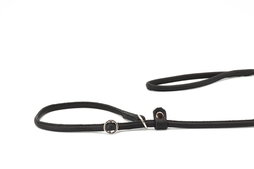 vier Farben an Showleinen