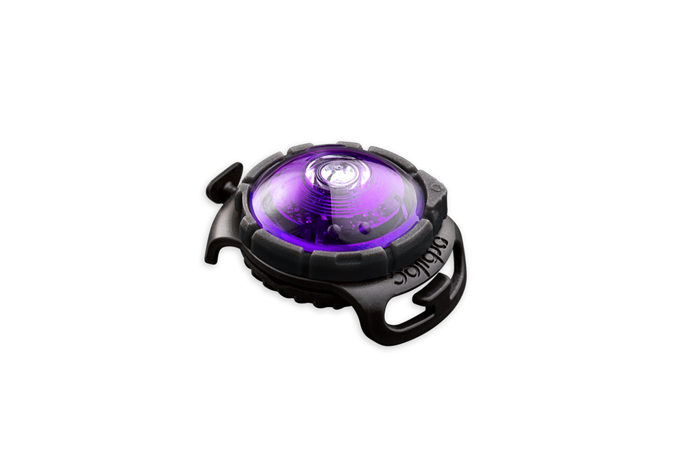 Orbiloc Dog Dual