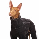Podenco in schwarzem, vierbeinigem Winteroverall in Schwarz