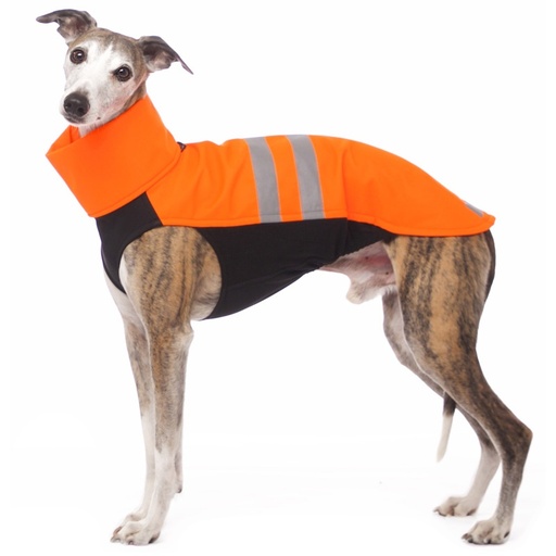 [SDW-B1801.2] HACHICO NEON (XS1, Orange)