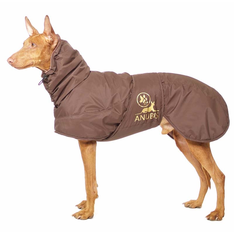 Anubis