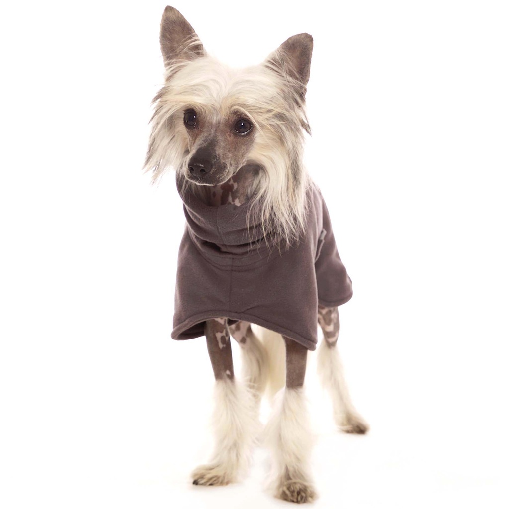 Hund im schwarzen Fleecemantel