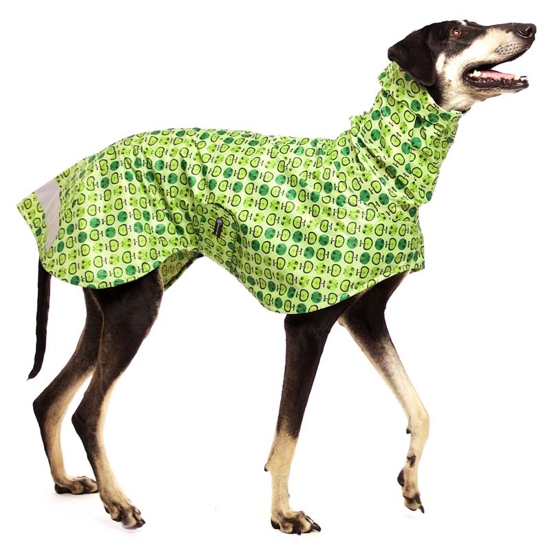 Hund im grünen Regenmantel mit Äpfelchendesign