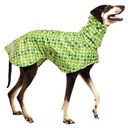 Hund im grünen Regenmantel mit Äpfelchendesign