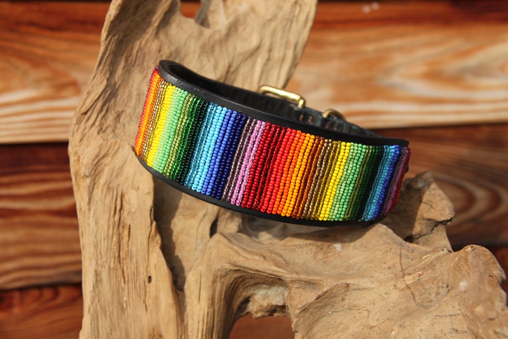 TKC Rainbow Lurcher