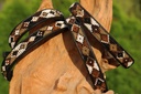 TKC Argyle Earth Standard