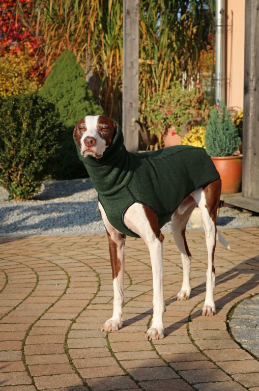 S&D Kevin Jumper Vol. 2 M1 Dunkelgrün