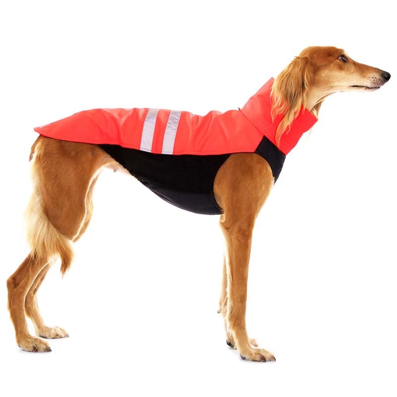 S&D Hachico Neon L2 Rot