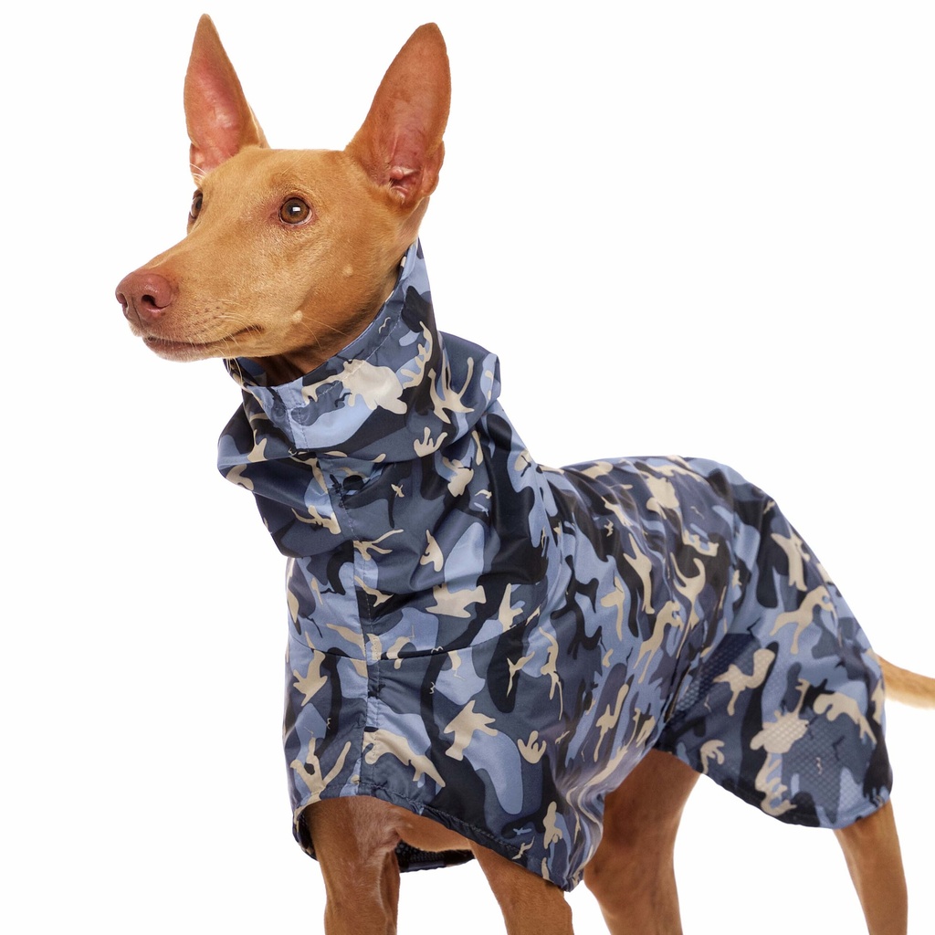 Hund im rosafarbenen Regenmantel mit Camouflage Muster
