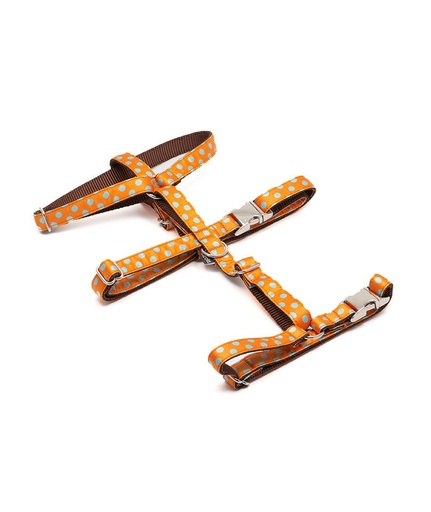 3-Punkt-Geschirr POLA