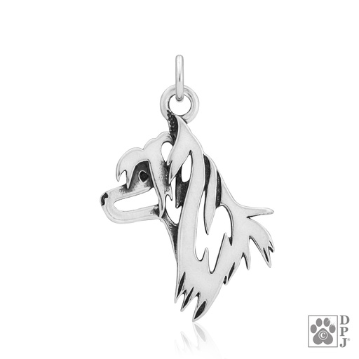 [DPJ-55325] DPJ Chinesischer Schopfhund  Kopf