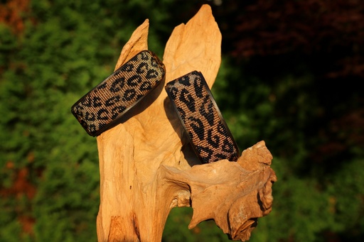 TKC Leopard Lurcher
