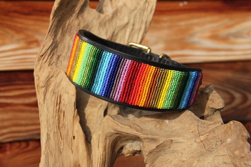 TKC Rainbow Lurcher