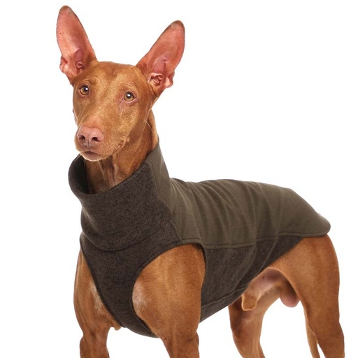 CHICO