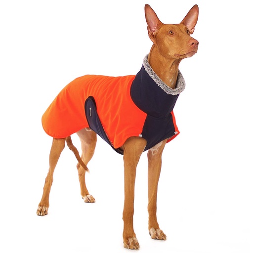 Hund im neonorangenen Mantel mit Bauchlatz, blauen Einsätzen und grauen Plüschrändern