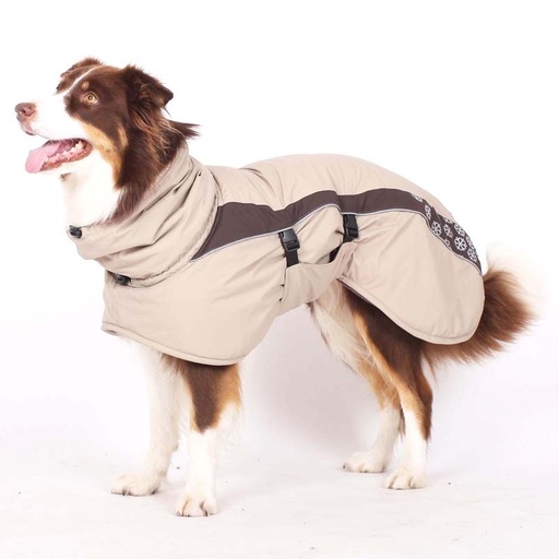 Hund in beigem Wintermantel mit braunem Streifen und Bauchlatz