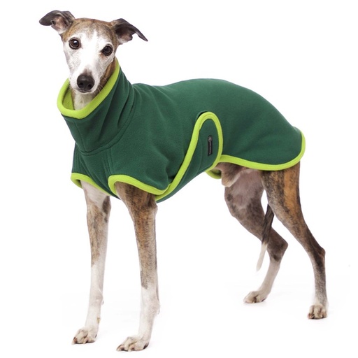 Hund im grünen Mantel mit Bauchlatz und hellgrünen Plüschrändern