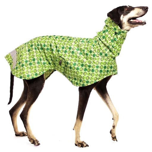 Hund im grünen Regenmantel mit Äpfelchendesign