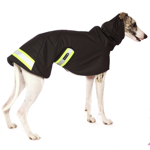 Hund im schwarzen Regenmantel mit Reflektoren und Neonfarbenen Abzeichen