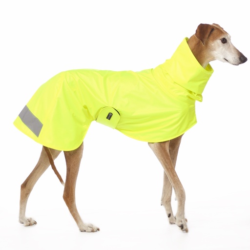 Hund im neongelben Regenmantel