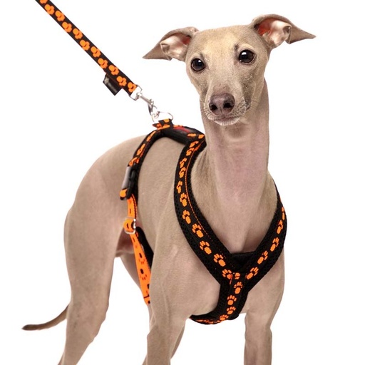 Sportgeschirr Y Small Pawprint