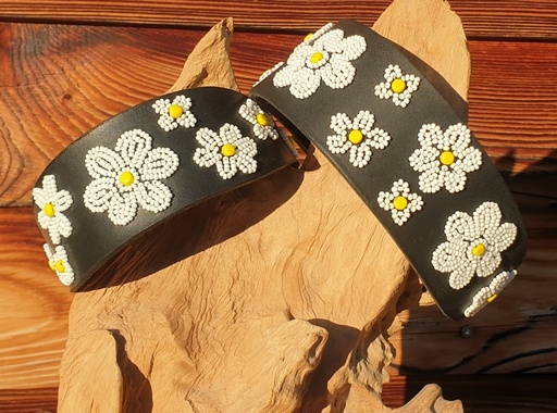 TKC Daisies Lurcher