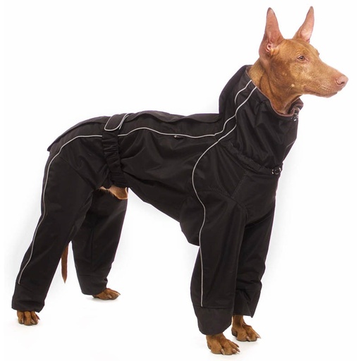 Podenco in schwarzem, vierbeinigem Winteroverall in Schwarz