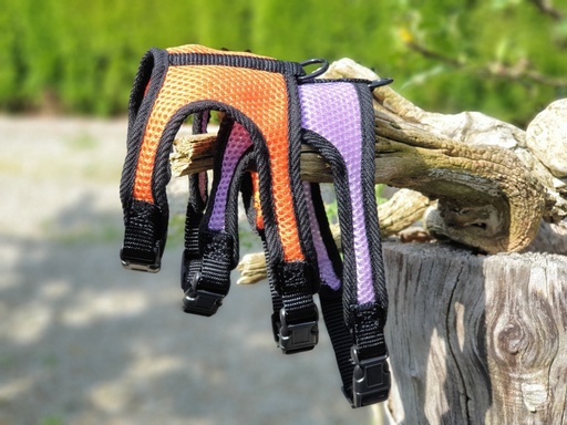 Welpengeschirr ultraleicht