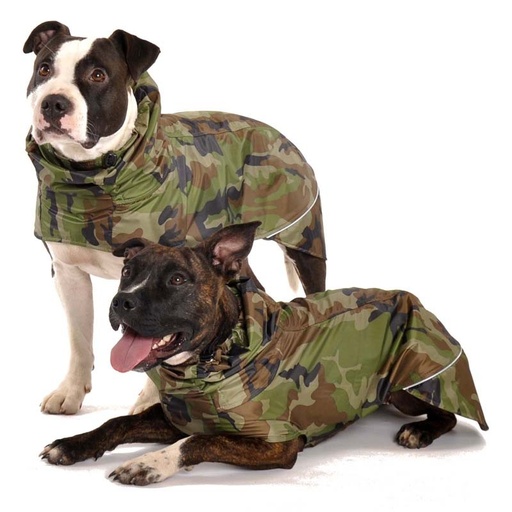 Zwei Bullterrier in Regenmänteln mit khakifarbenen Camouflagemuster