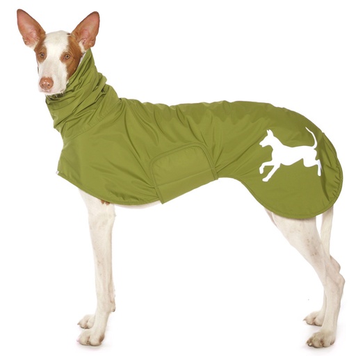 Hund in grünem Regenmantel mit weißem Plüschfutter